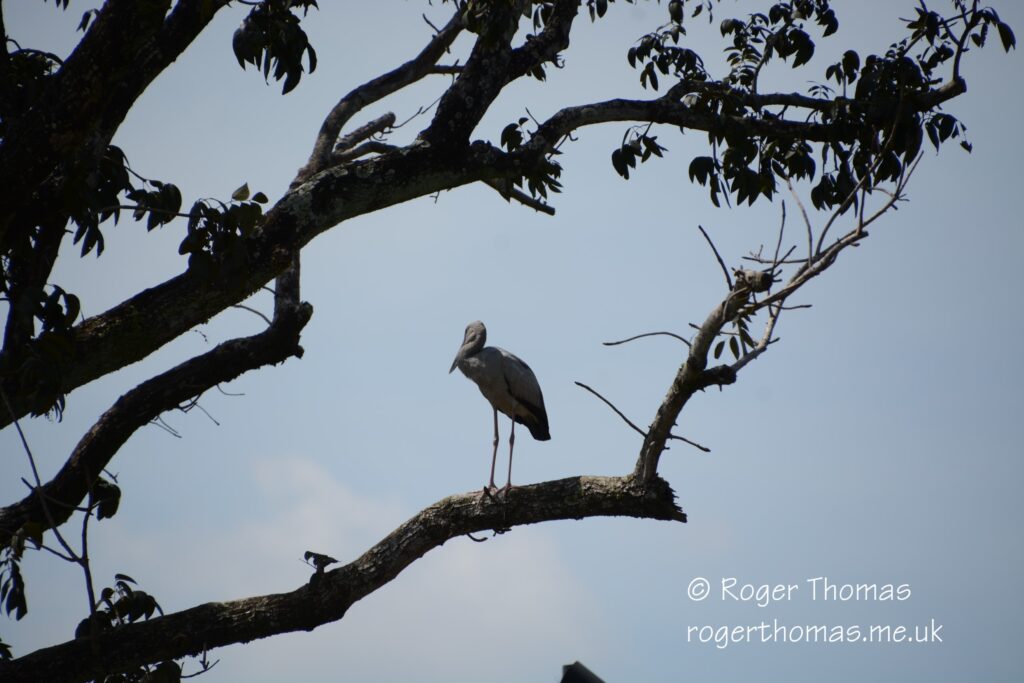 Juron Lake Gardens 004