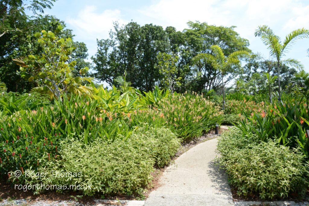 Juron Lake Gardens 019