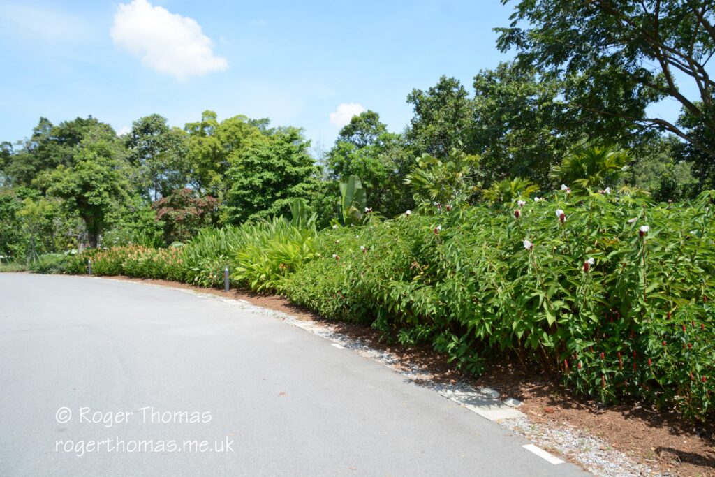 Juron Lake Gardens 020