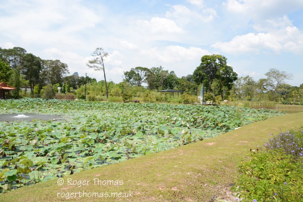 Juron Lake Gardens 043