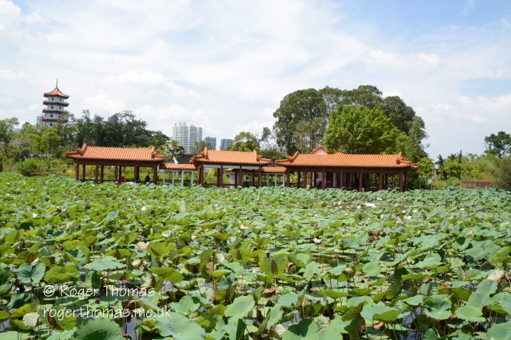 Juron Lake Gardens 044