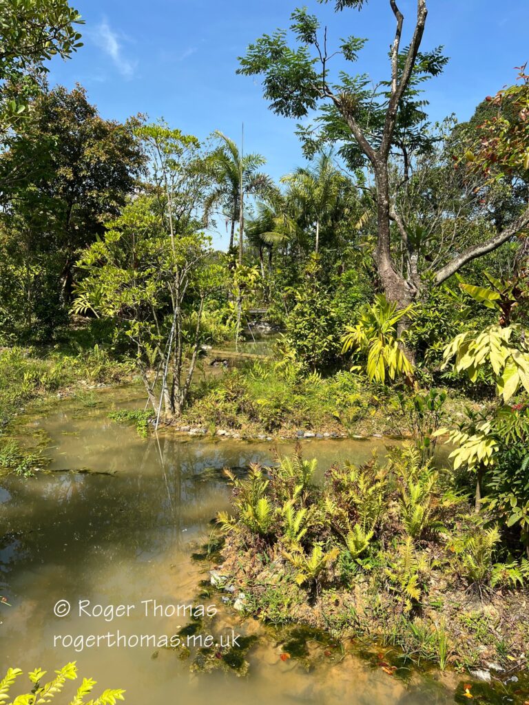 Juron Lake Gardens 066
