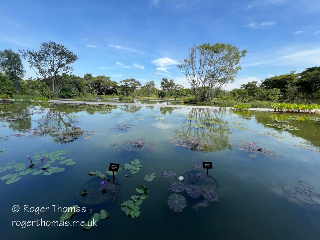 Juron Lake Gardens 077