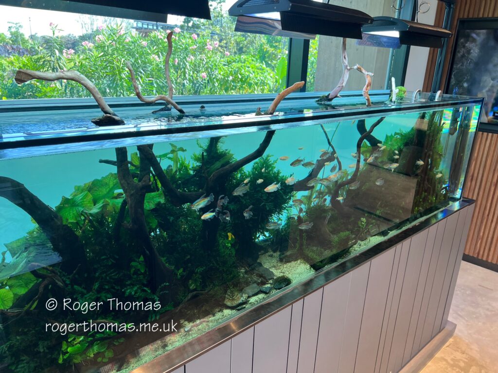 Juron Lake Gardens 085