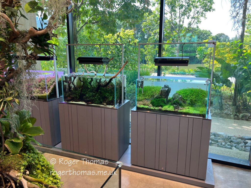 Juron Lake Gardens 086