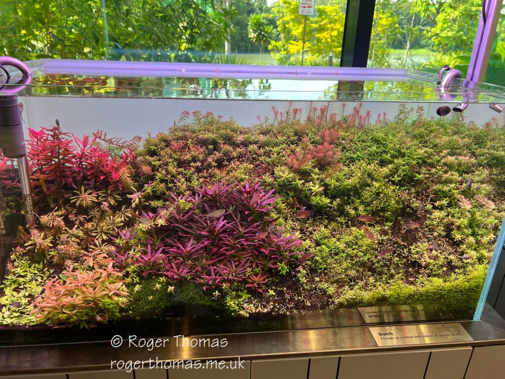 Juron Lake Gardens 092