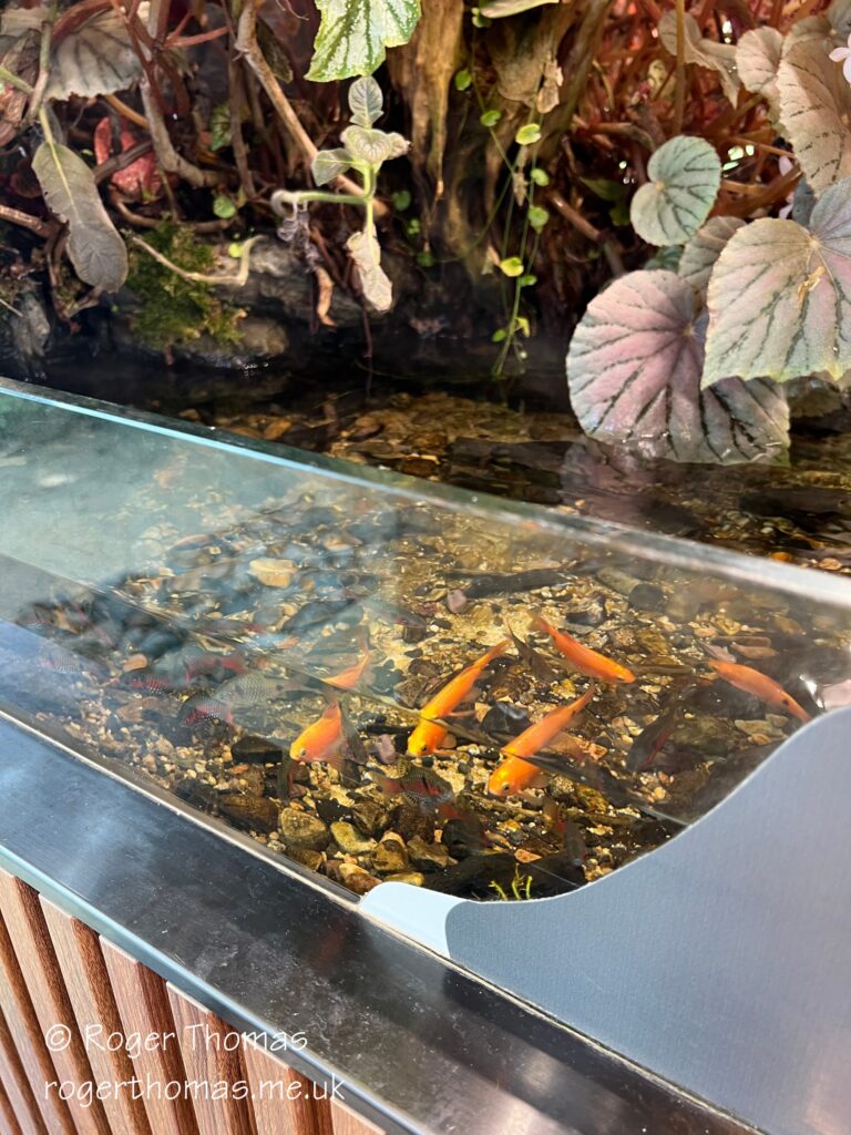 Juron Lake Gardens 093