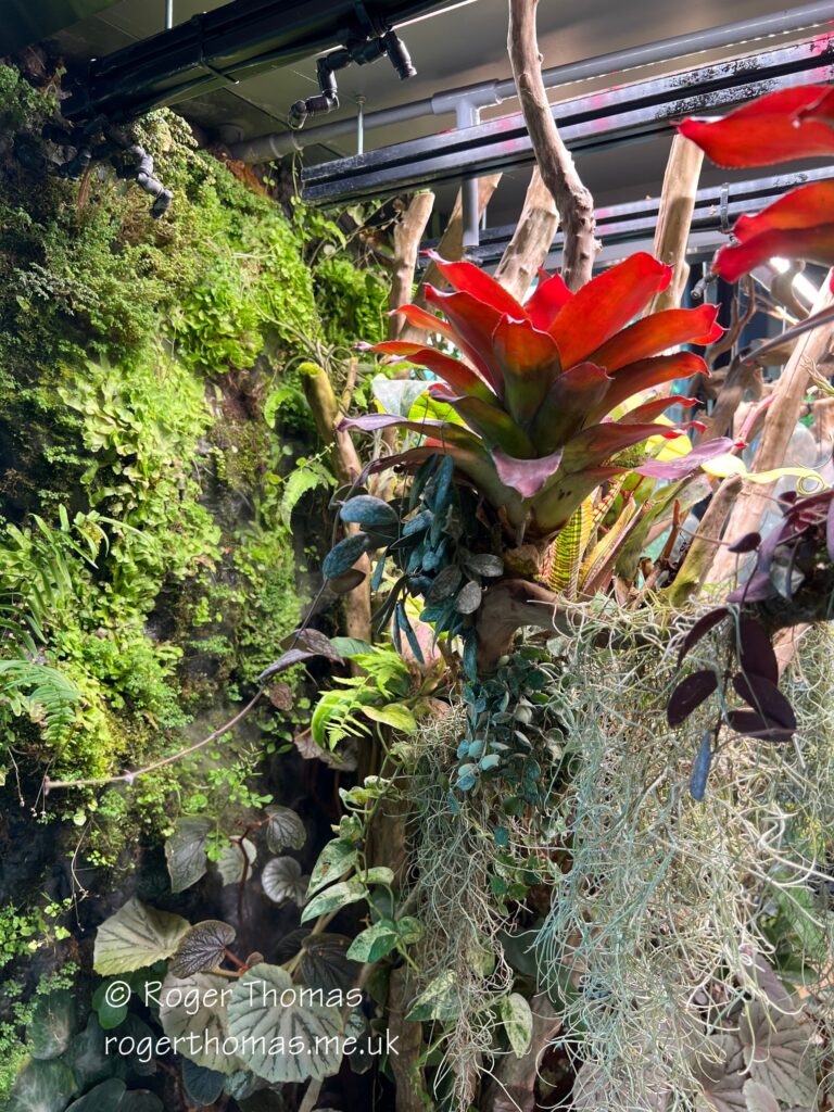 Juron Lake Gardens 094