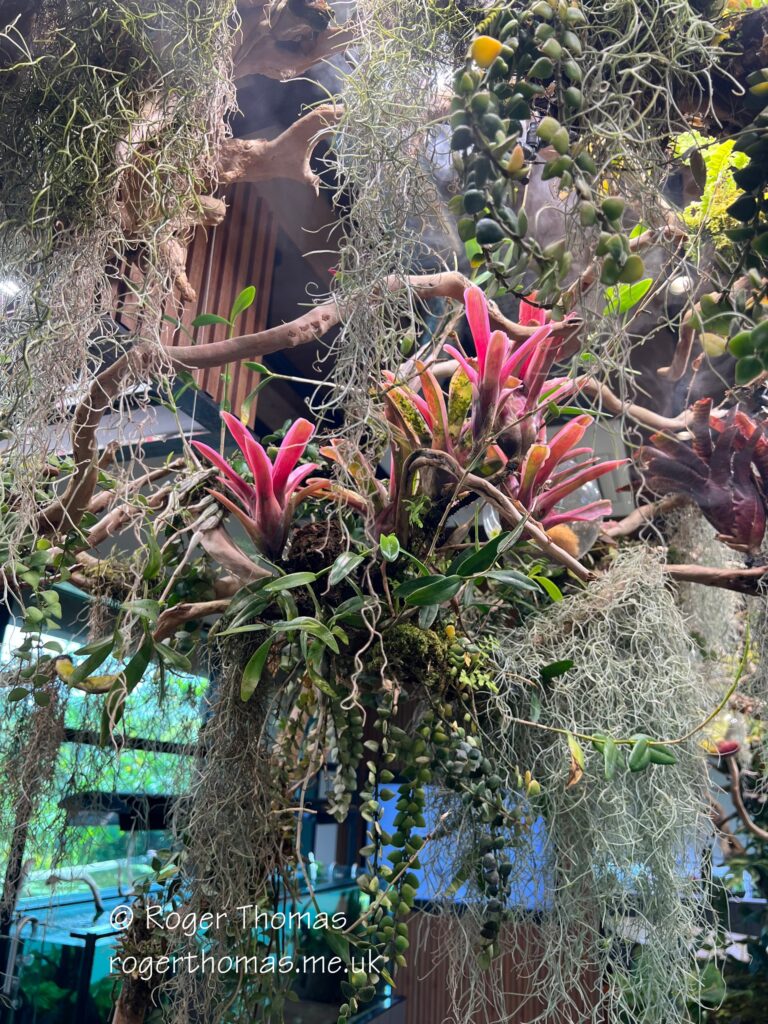 Juron Lake Gardens 096