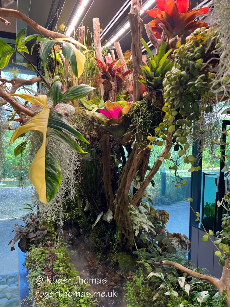 Juron Lake Gardens 097