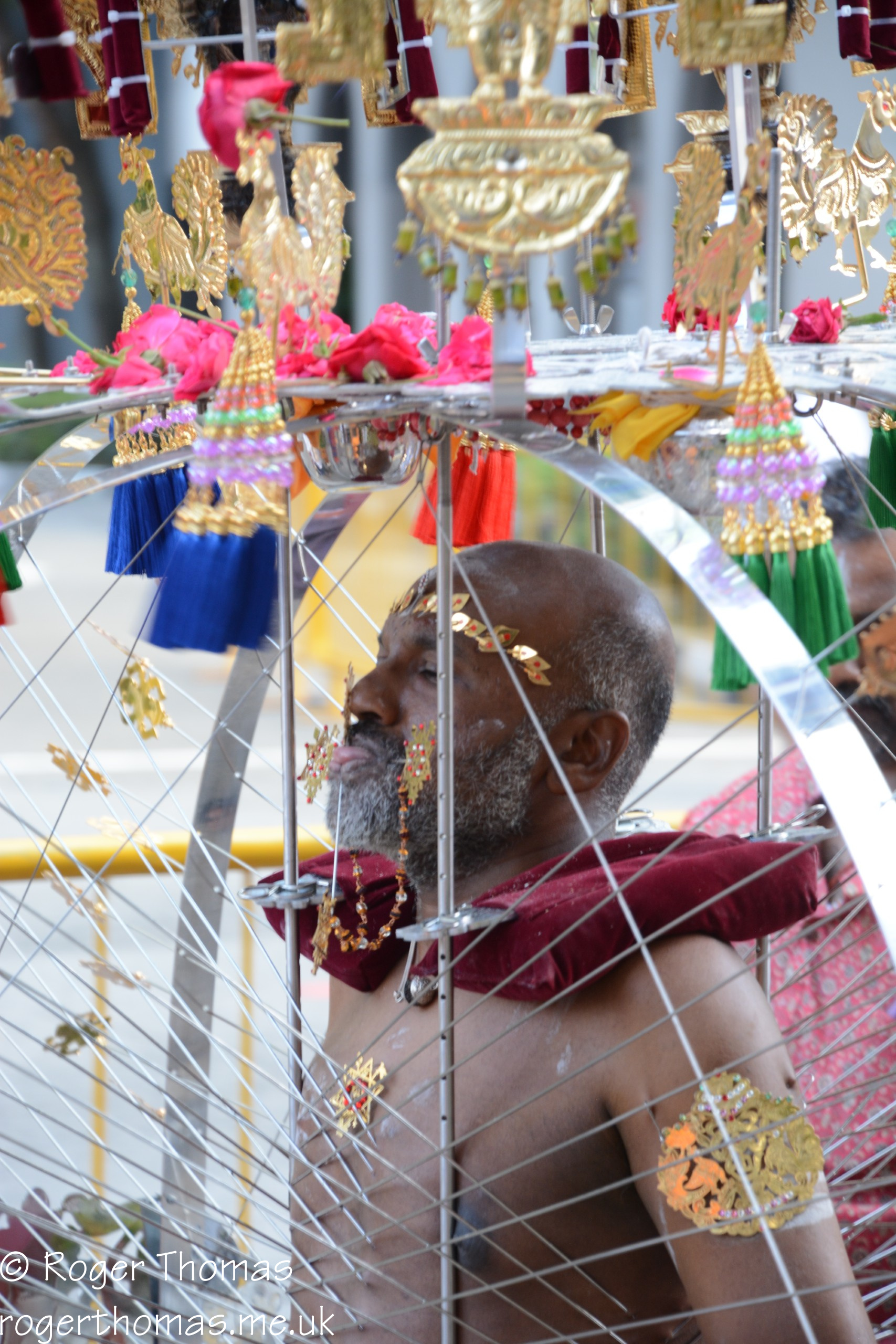 Thaipusam Singapore 2026 209