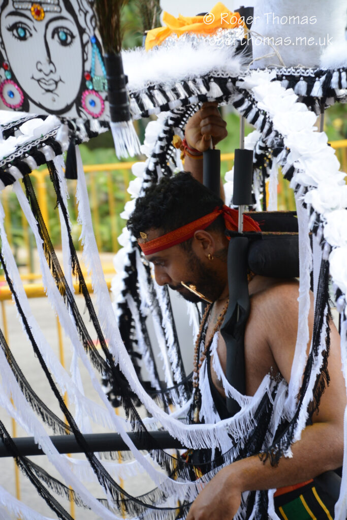 Thaipusam Singapore 2026 226