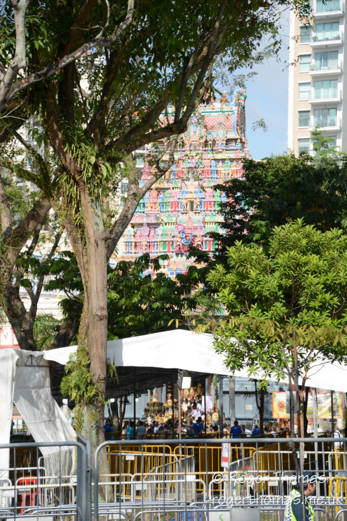 Thaipusam Singapore 2026 320